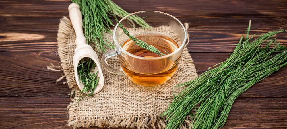 Infuso di Equiseto