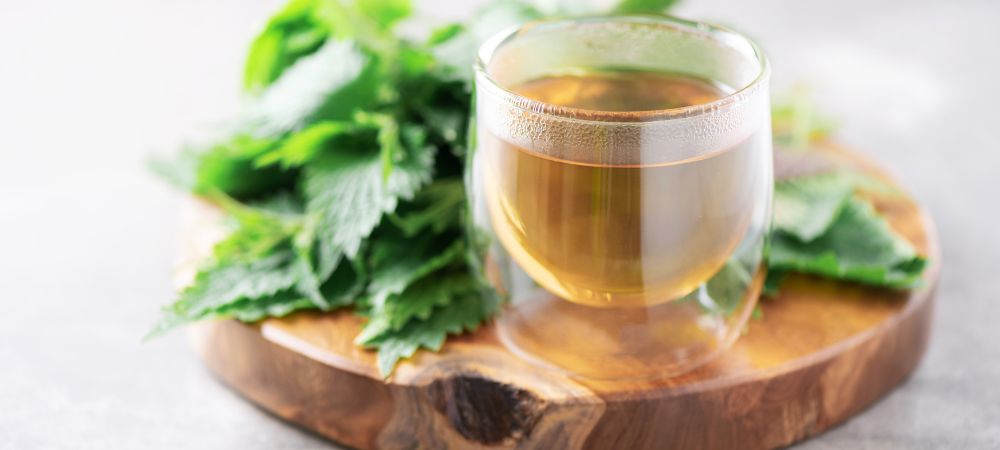 Tè di ortica: uso come concime casalingo per le piante