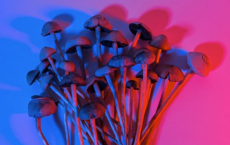 Notizie sulla cannabis