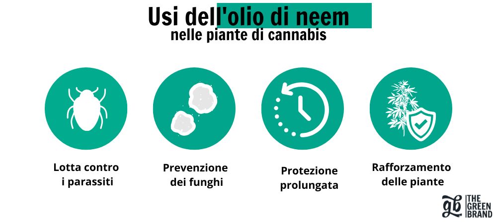 usi dell'olio di neem