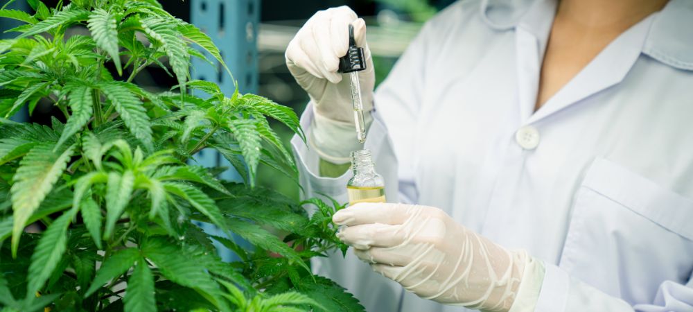 sapone molle potassico e olio di neem dosi