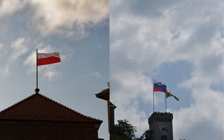 Notizie sulla cannabis