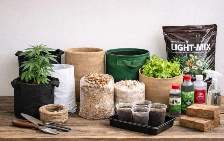 Grow bag: l’alternativa al vaso tradizionale