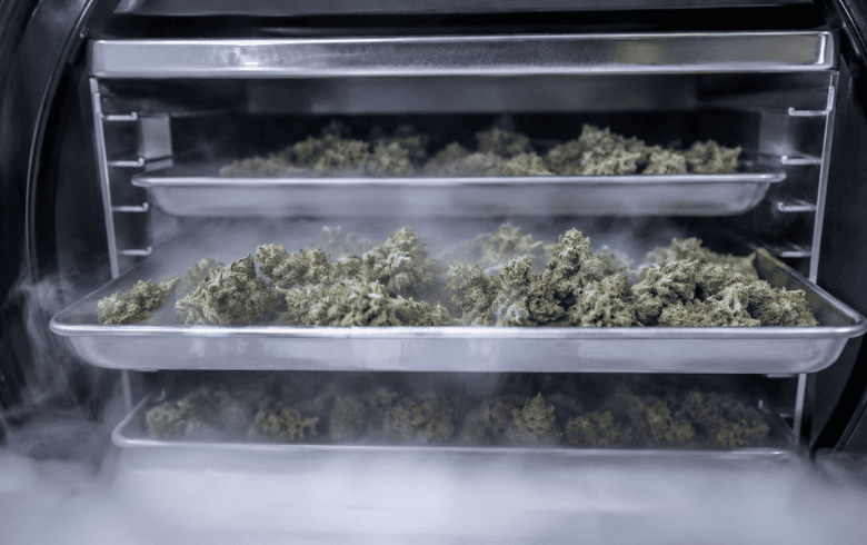 ¿Qué es liofilizar el cannabis?