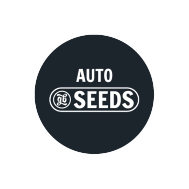 Semi autofiorenti GB