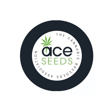 Semi regolari ACE Seeds