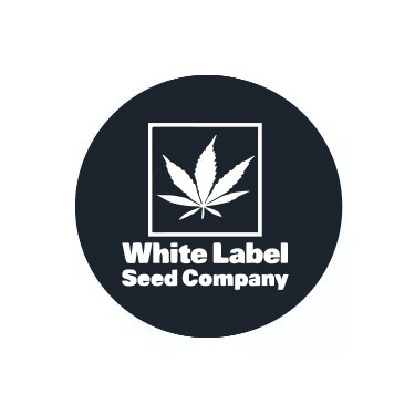 Semi regolari White Label