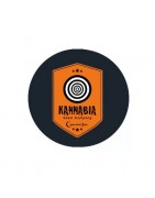 Kannabia Seeds