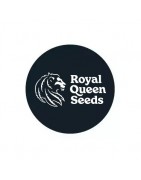 Royal Queen Semi Femminizzati