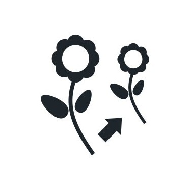 Prodotti pianta madre e talea