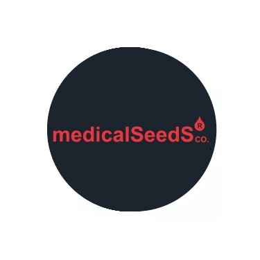 Semi regolari Medical Seeds