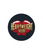 Semi femminizzati Heavyweight Seeds