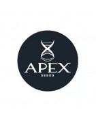 Semi femminizzati Apex Seeds