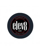 Semi Femminizzati Elev8 Seeds