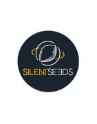 Silent Seeds Semi Femminizzati