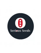 Semi femminizzati Serious Seeds