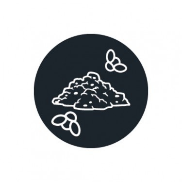 Insetticidi per moscerini del terriccio