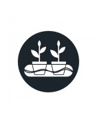 Kit cultivo hidropónico completo