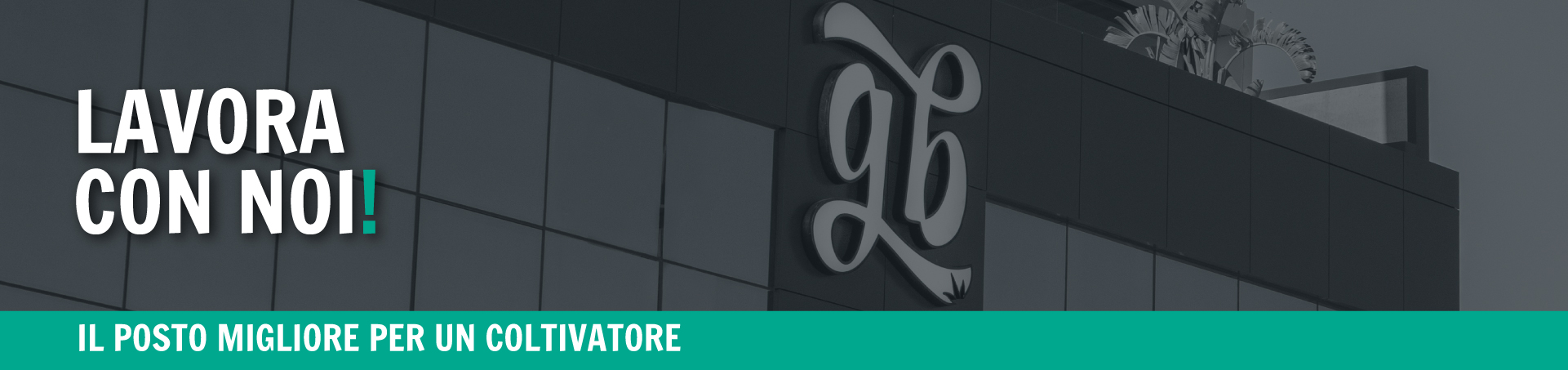 grow shop spagna