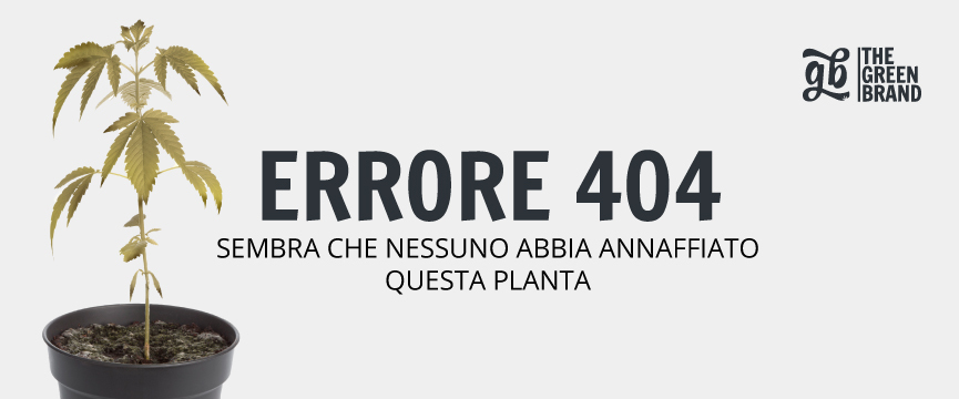 404 Desktop