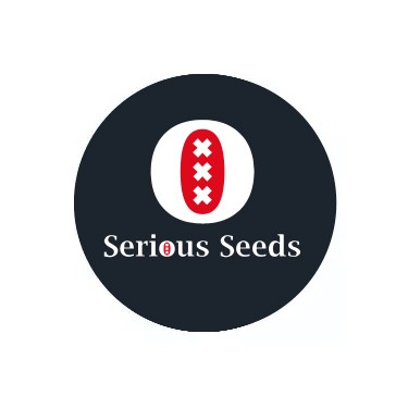 Semi autofiorenti Serious Seeds