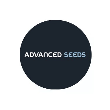 Semi autofiorenti Advanced Seeds