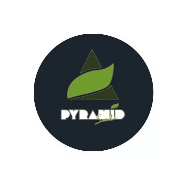 Semi femminizzati Pyramid Seeds