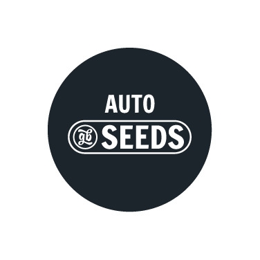 Semi autofiorenti GB