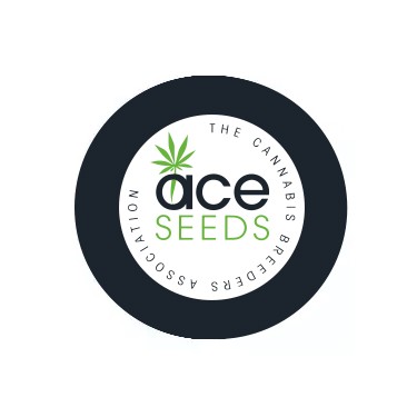Semi femminizzati ACE Seeds