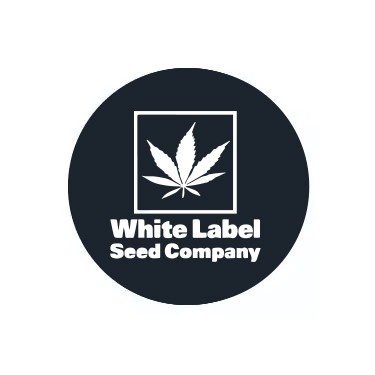 Semi regolari White Label