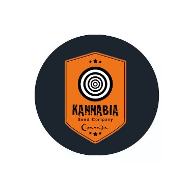 Semi autofiorenti Kannabia Seeds