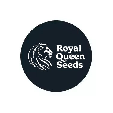 Royal Queen Seeds