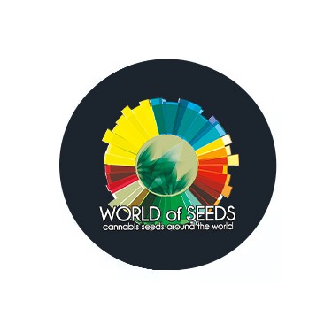 Semi autofiorenti World of Seeds