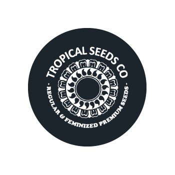 Semi femminizzati Tropical Seeds