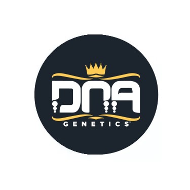 Semi autofiorenti DNA Genetics