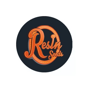 Semi femminizzati Resin Seeds
