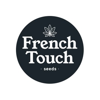Semi autofiorenti French Touch Seeds