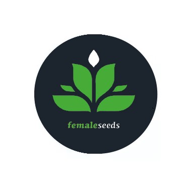 Semi autofiorenti Female Seeds