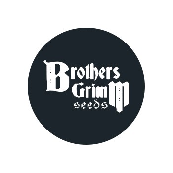 Semi Regolari Brothers Grimm Seeds