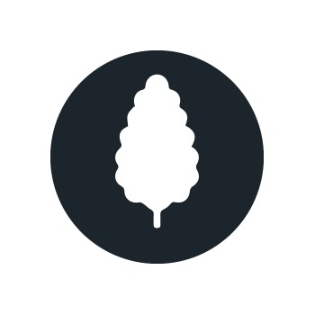 Semi di Marijuana Produttivi