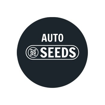 Semi autofiorenti GB