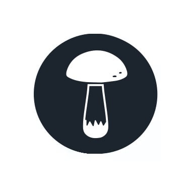 Funghi allucinogeni