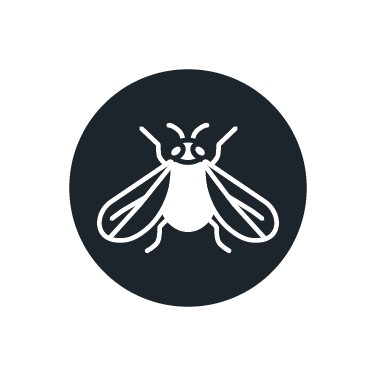 Insetticida per mosca bianca