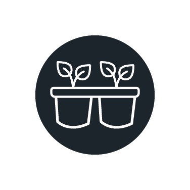 Vassoio per germinazione