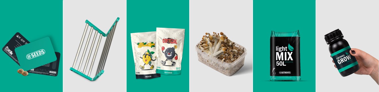 Acquistare Illuminazione