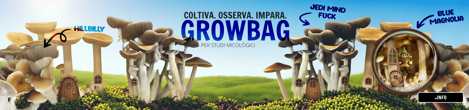 Growbag Setas